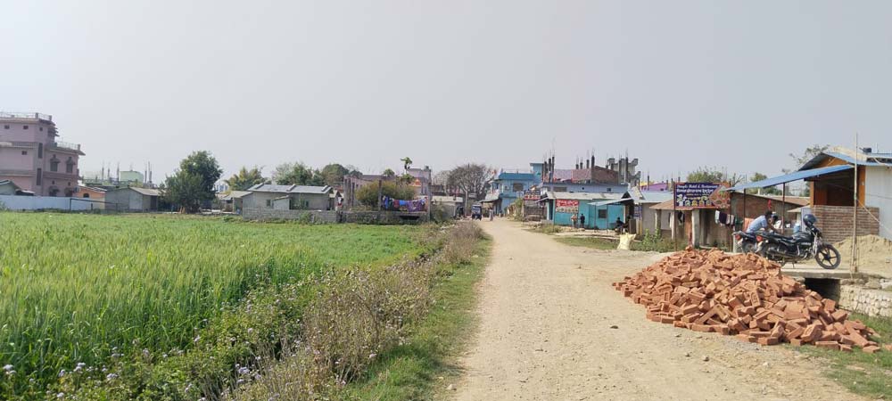 भोटको बदलामा रोजगारी माग्दैछन् कैलालीका बादी समुदाय