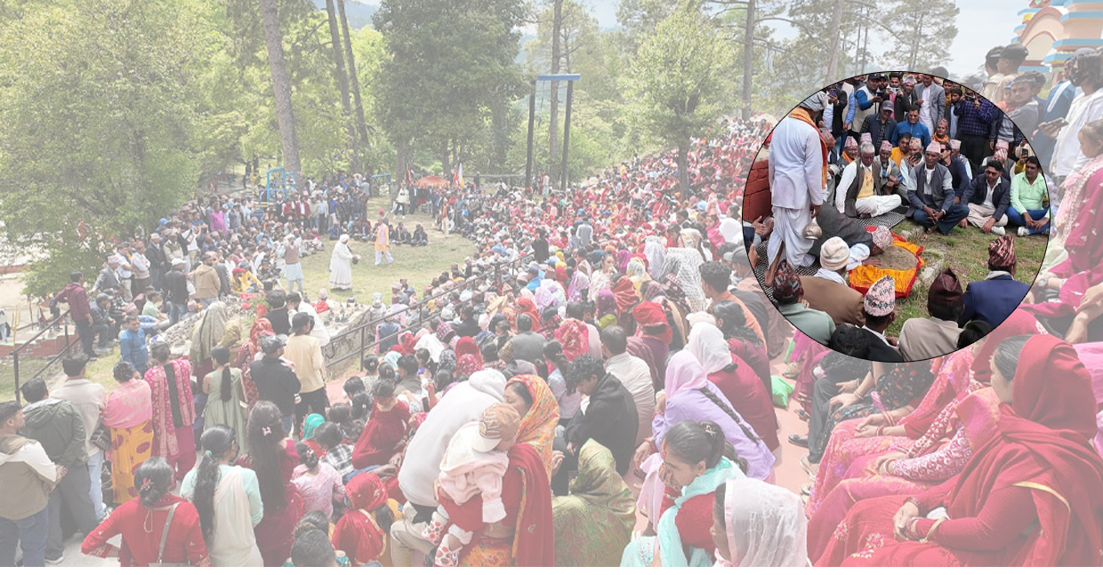 baluwadhami.jpg