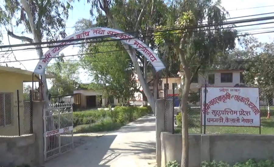 सुदूरपश्चिममा हलगोरु पाल्ने कृषकलाई प्रोत्साहन कार्यक्रम