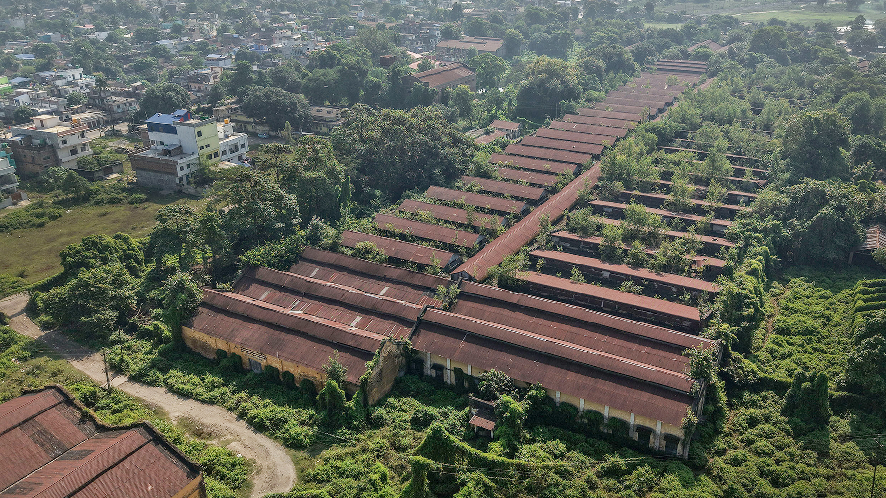 खण्डहर बनेको ऐतिहासिक विराटनगर जुट मिल (तस्बिरहरू)