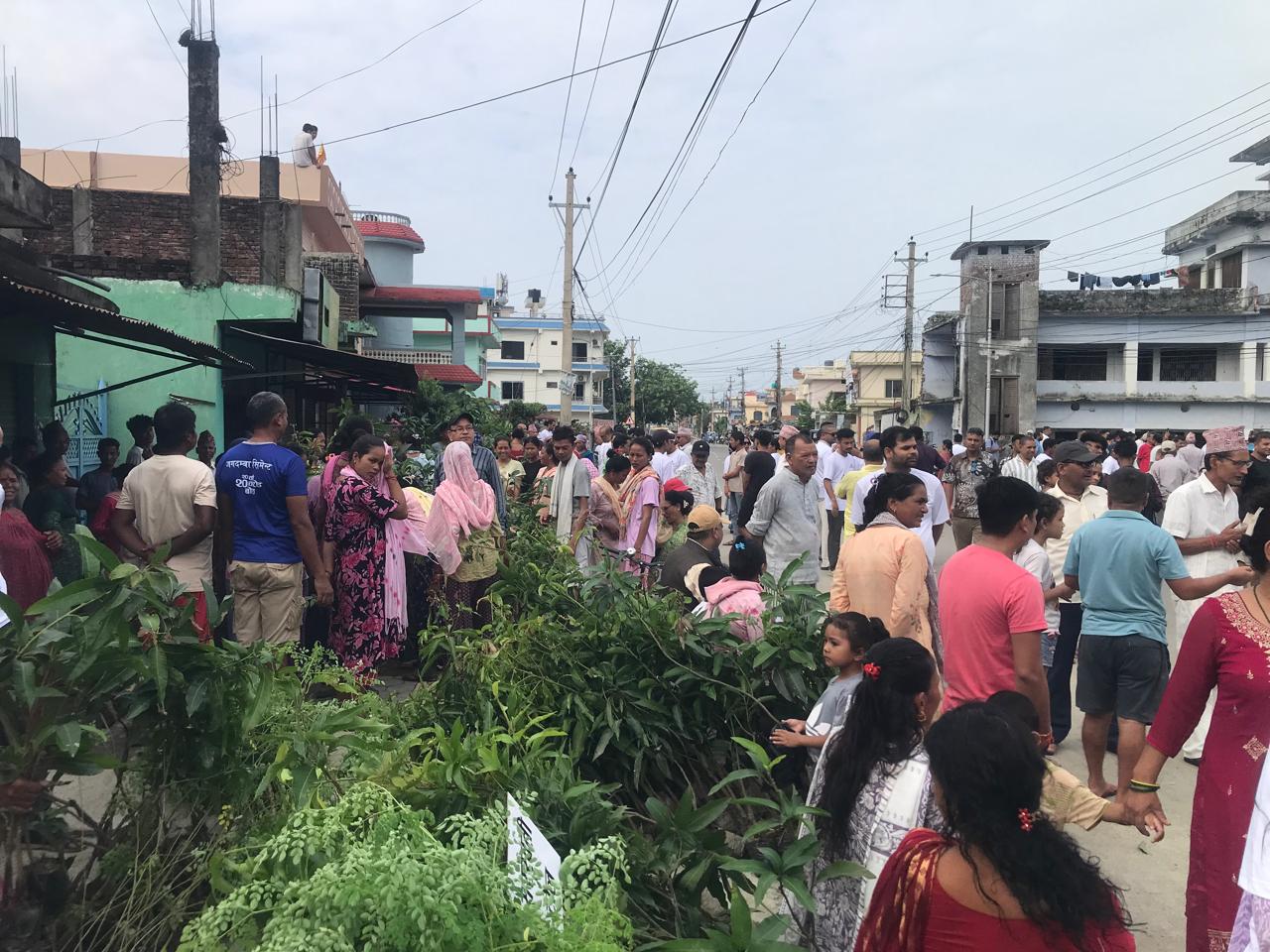 धनगढीमा ‘हरियो वडा अभियान’, १५ हजार बिरुवा वितरण