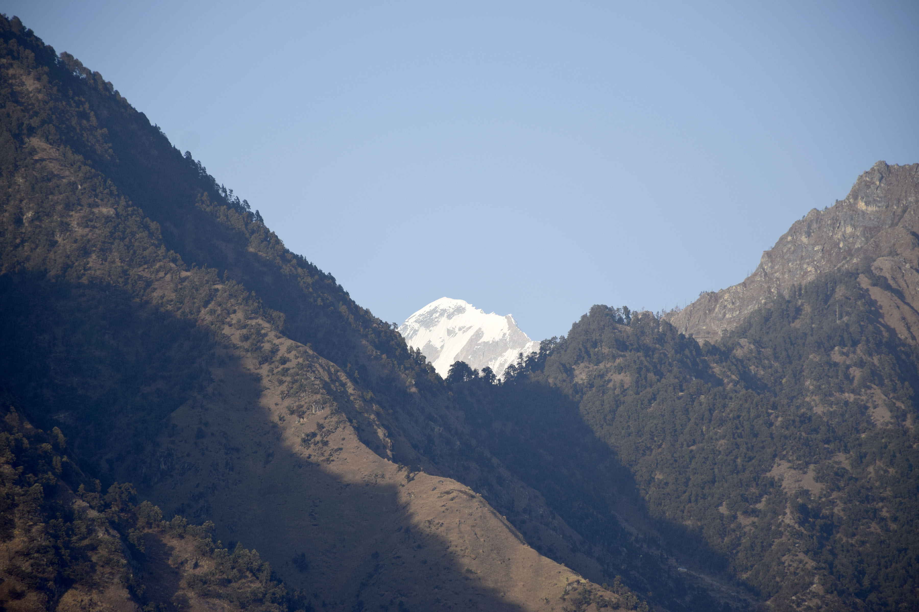 साइपालको चुचुरो