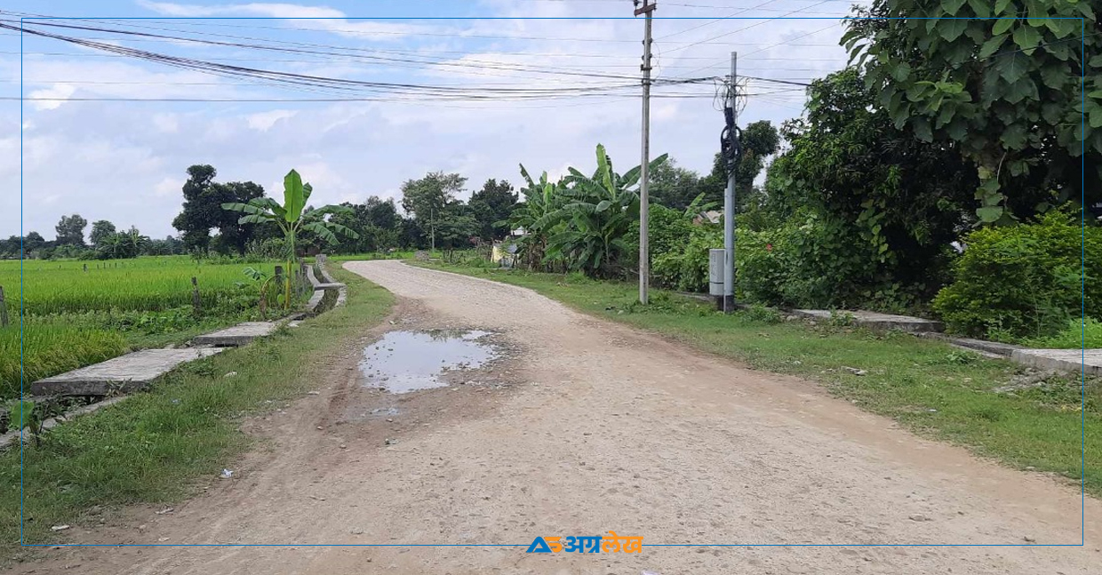 चौकीडाँडा–ओलानी सडकमा सम्झौता मिच्दै निर्माण कम्पनी