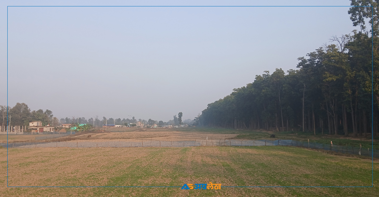 बढ्दैछ मानव–वन्यजन्तु द्वन्द्व, यसरी गर्न सकिन्छ सहअस्तित्व कायम