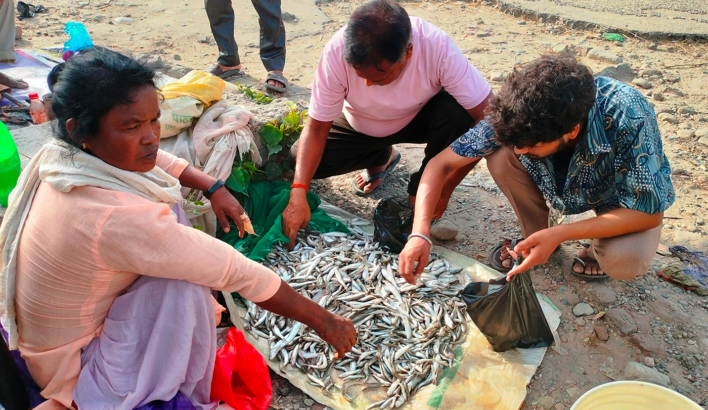 fish2025-06-02-03-11-46.png