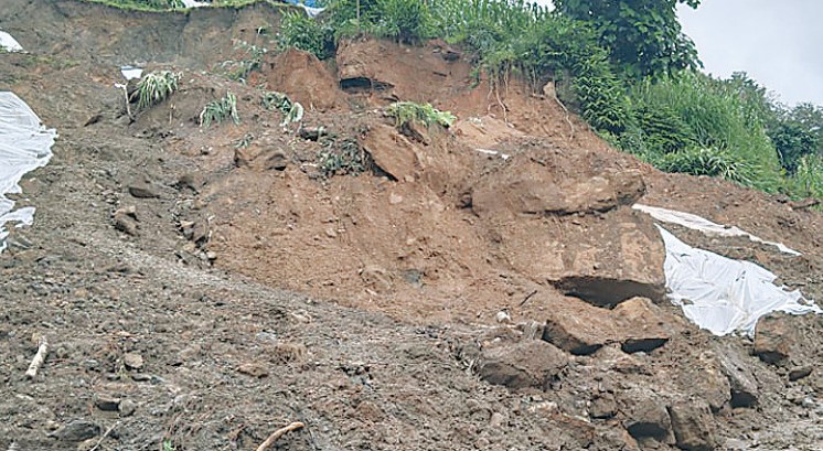 ilam-pahiro-0282021063055-1000x0.jpg