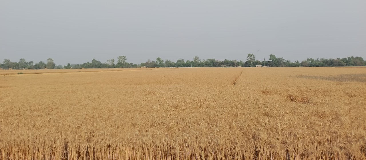 जानकीमा उत्पादनका आधारमा अनुदान वितरण
