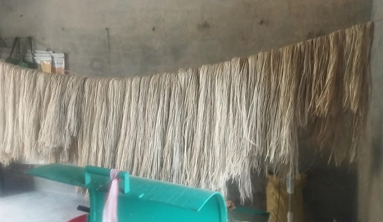 केराको रेसाबाट कपडा उत्पादन गरेर फेरियो कैलालीकी जुगरानीको जीवन