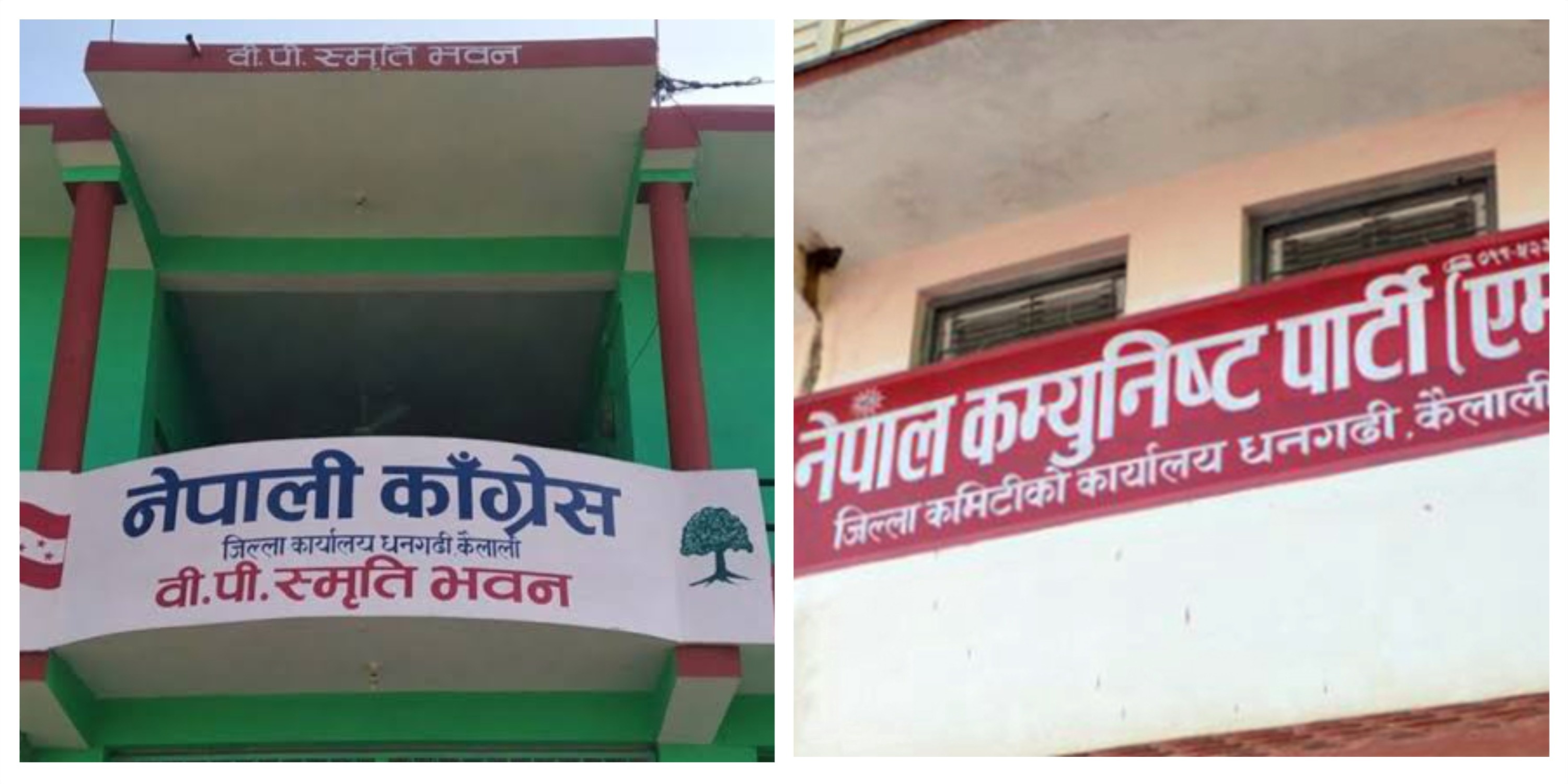कैलालीमा संविधान दिवसको अवसरमा काँग्रेस-एमालेको शक्ति प्रदर्शनको कार्यक्रम, के गर्दैछन् ?
