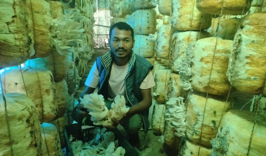 च्याउखेतीबाट मनग्य आम्दानी