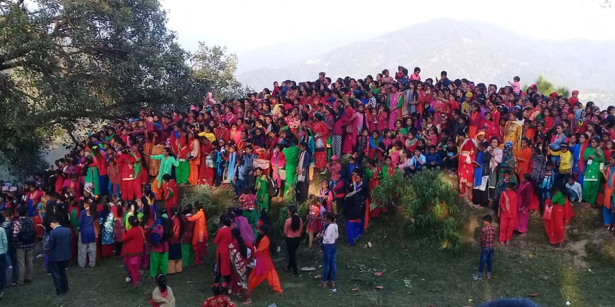 niraulidashain.jpg