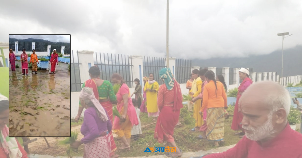 पाटनवासी आक्रोशित, बसपार्कमा रोपाई
