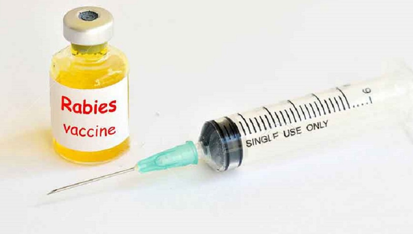 rabies-vaxin_20190823010846_eQcY4Gwi5R.jpg