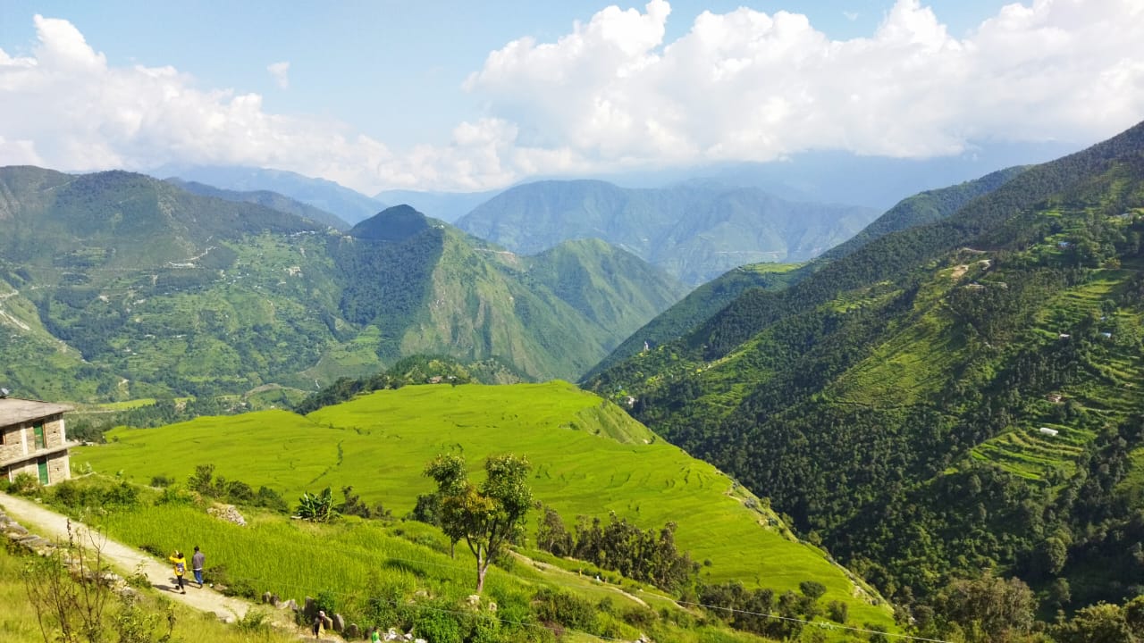 सुदूरपश्चिममा धान उत्पादनको क्षेत्रफल घट्यो, उत्पादकत्व बढ्यो