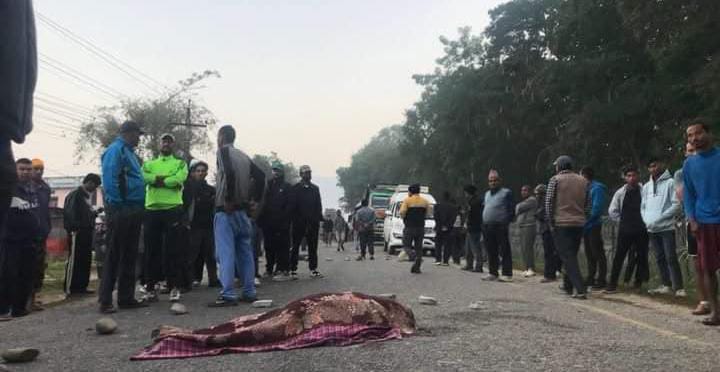 बसको ठक्करबाट ८० वर्षीया वृद्धाको मत्यु