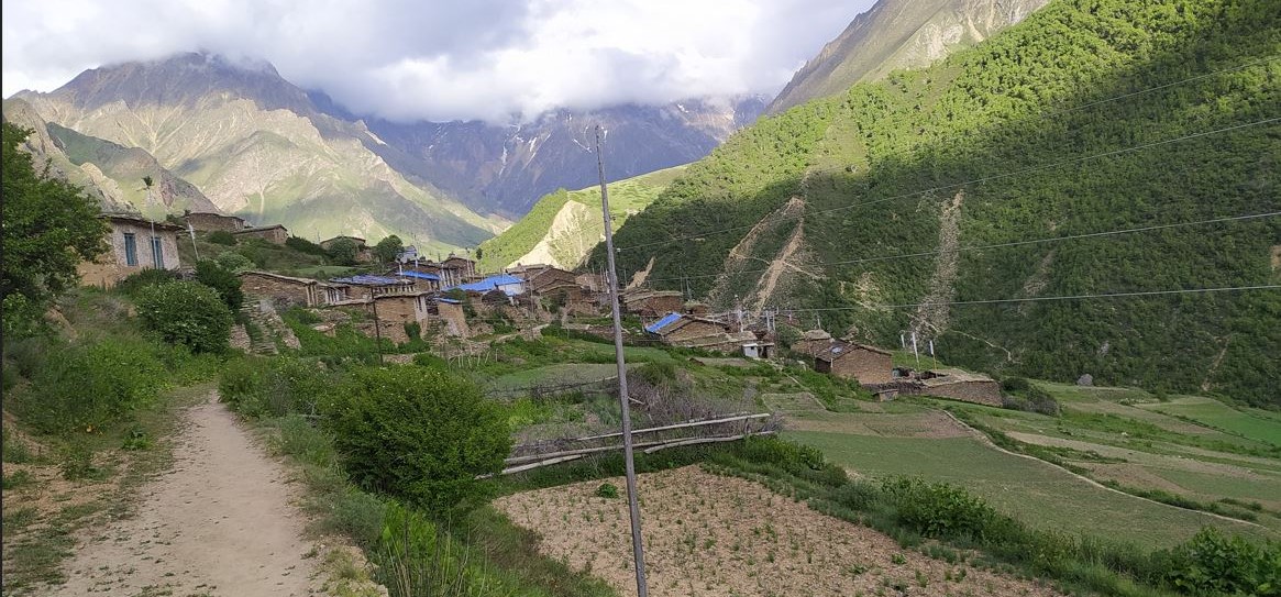 tinkar-photo.jpg